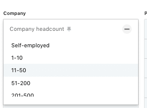 advanced people search linkedin by company size