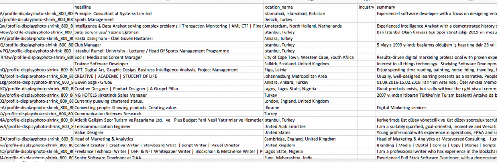 excel file with participants of the linkedin even