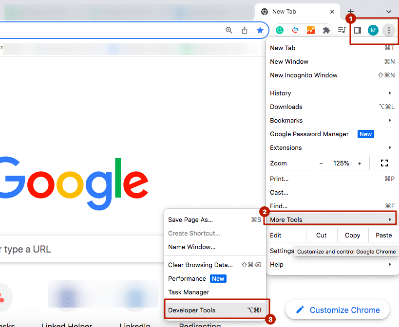 Menu path on how to open the Developer panel in Chrome screenshot