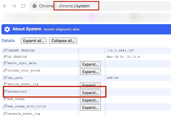 open chrome: system and expand the extensions section