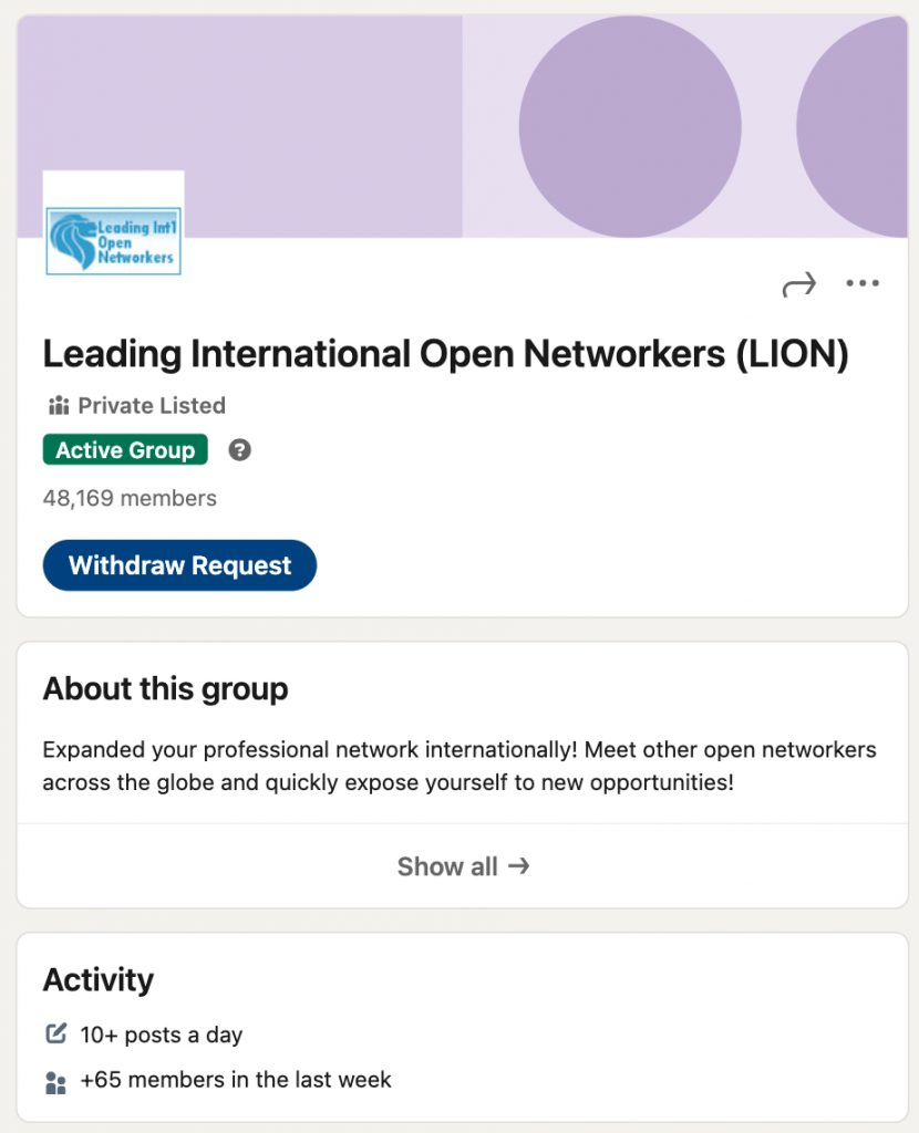LinkedIn LION groups example Leading International Open Networker