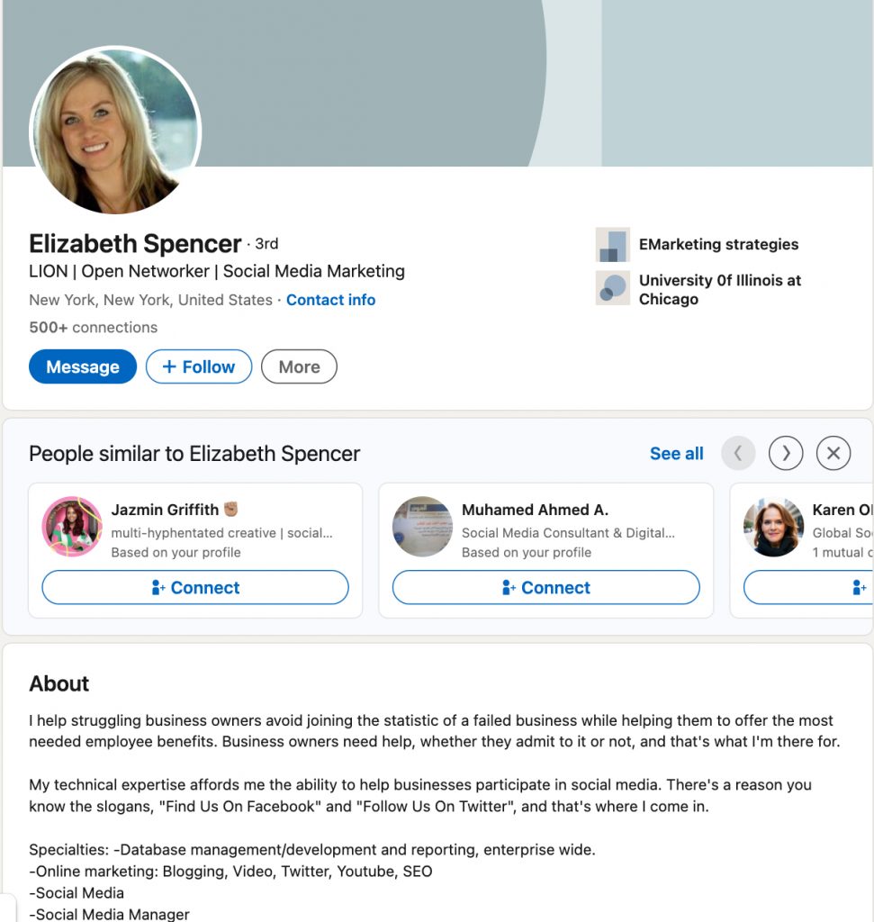 Top LinkedIn LION profiles example social media manager account