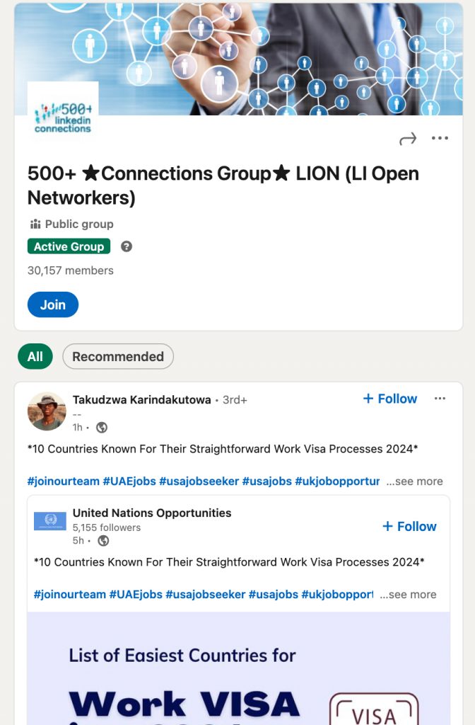  LinkedIn LION groups example 500+ Connections Group