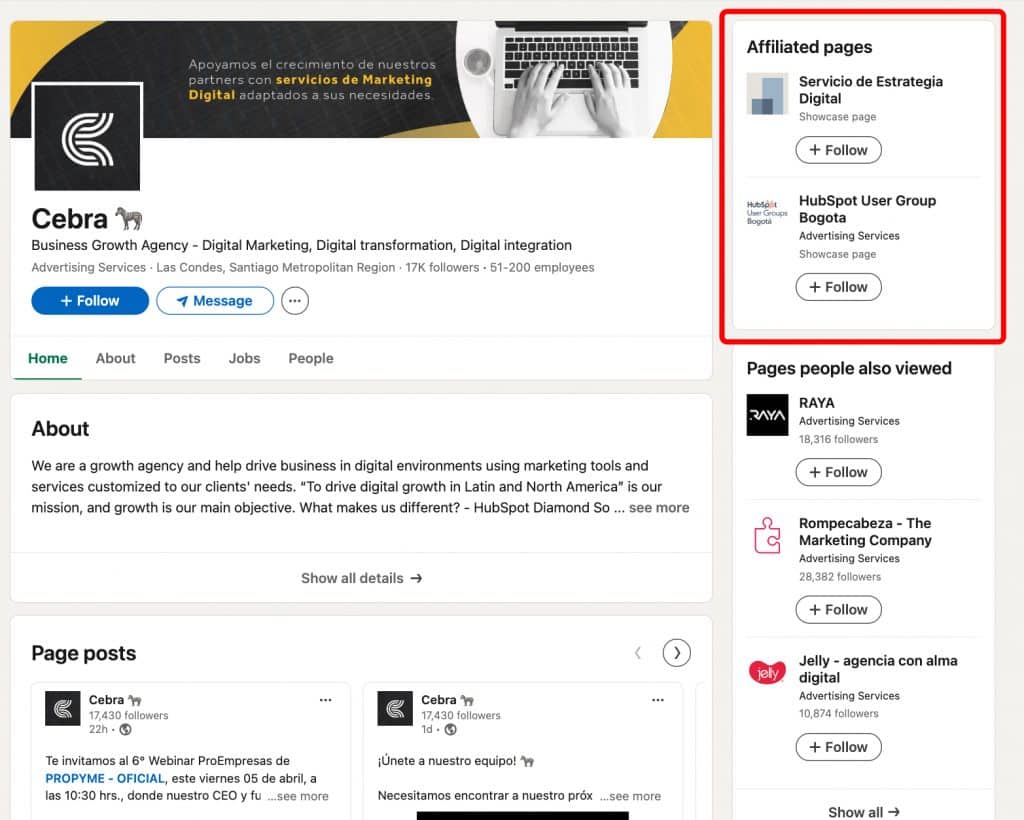 What is a showcase page on LinkedIn - screenshot of the affiliated pages section.