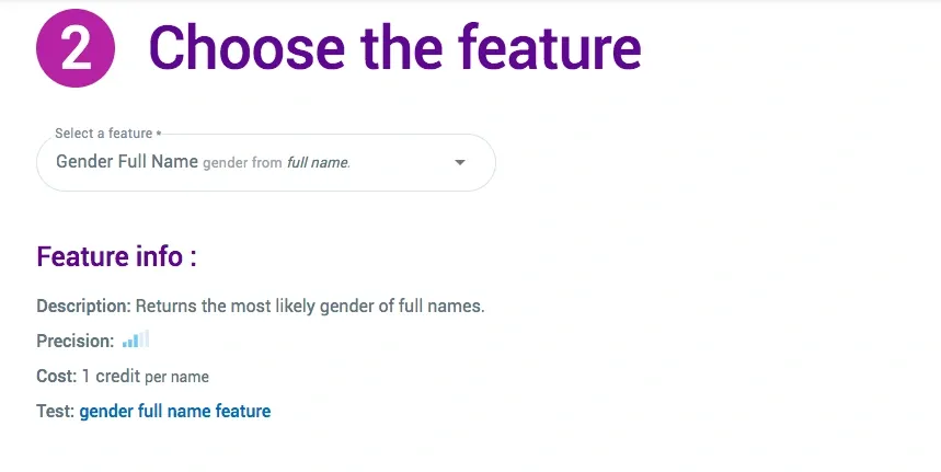 Screenshot des Menüs eines Dienstes zur automatischen Geschlechtserkennung für umfangreiche Personenlisten.