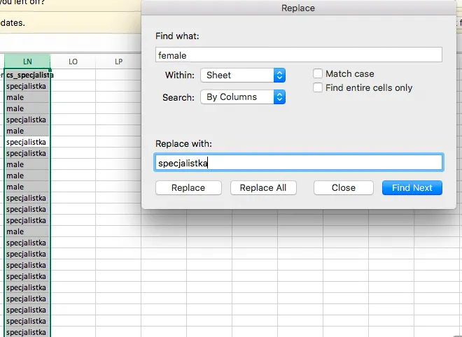 Excel-Screenshot mit der Funktion „Suchen und Ersetzen“.