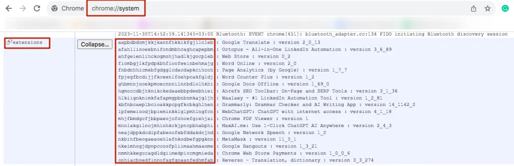 Chrome-Screenshot mit IDs und Namen der Erweiterungen