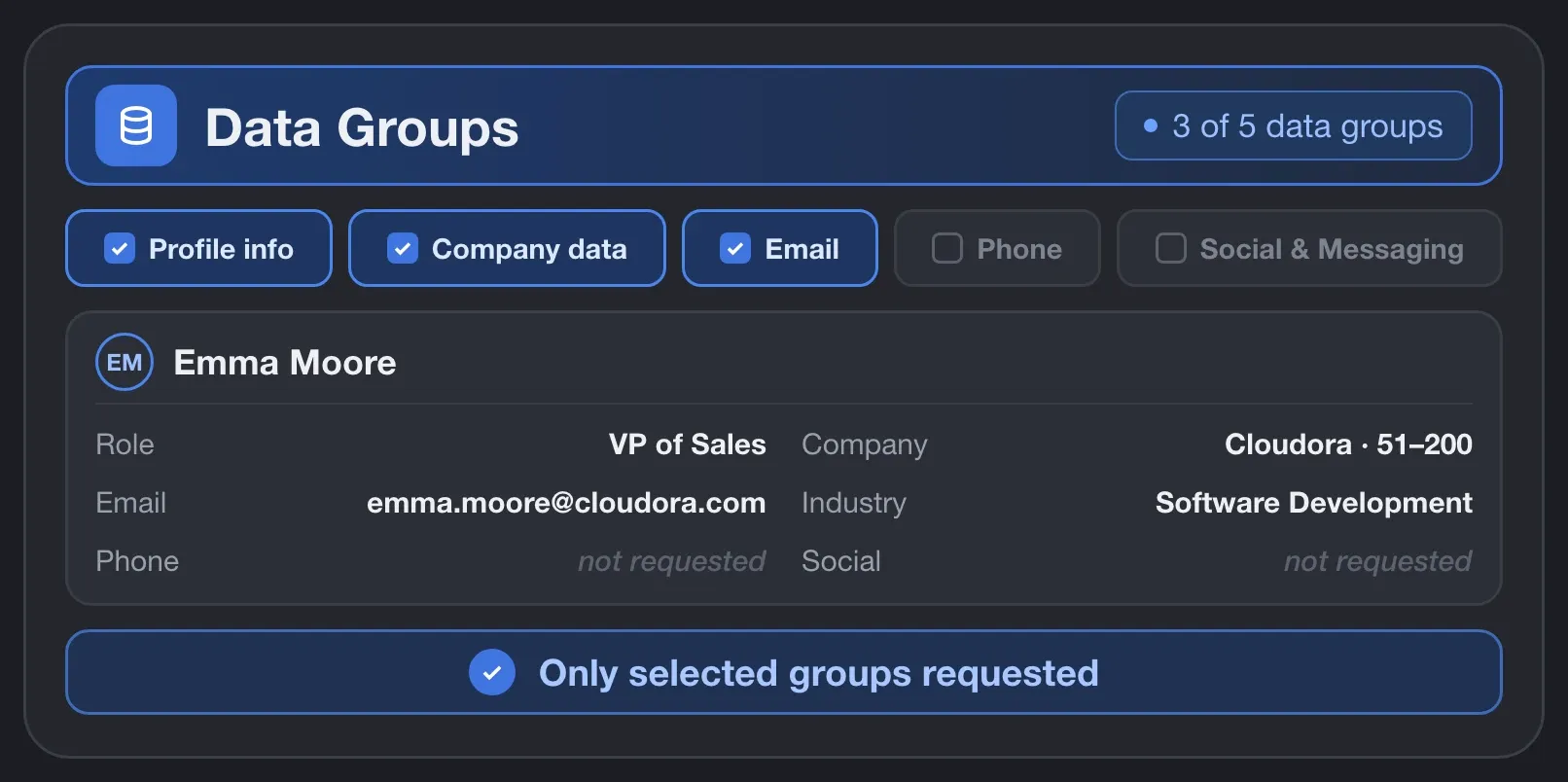 Data Enrichment with selected data groups: profile info, company data, and email