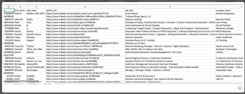 Exportação CSV da Linked Helper com nomes dos perfis, URLs do LinkedIn, cargos e empresas