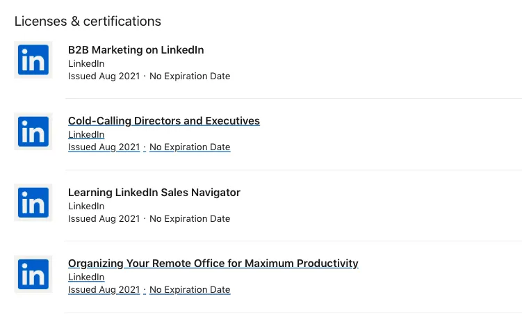 Secção «Licenses & certifications» de um gestor de vendas no LinkedIn