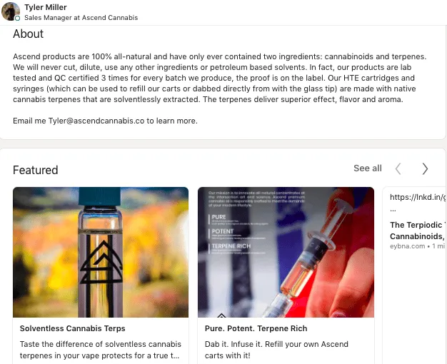 Perfil de um gestor de vendas no LinkedIn com apresentação de um produto