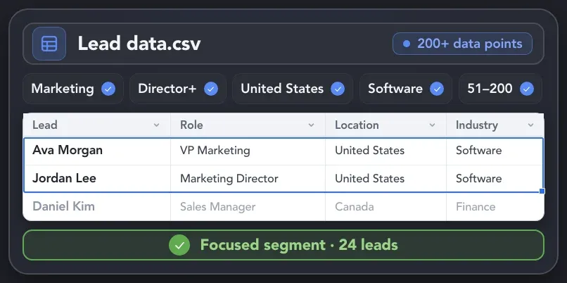 Exported LinkedIn lead data filtered by role, seniority, location, industry, and company size to create a focused lead segment.