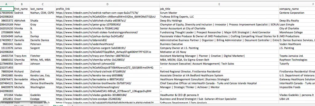 O resultado CSV da Expandi não inclui resumo, título profissional, competências nem emails externos ao perfil.