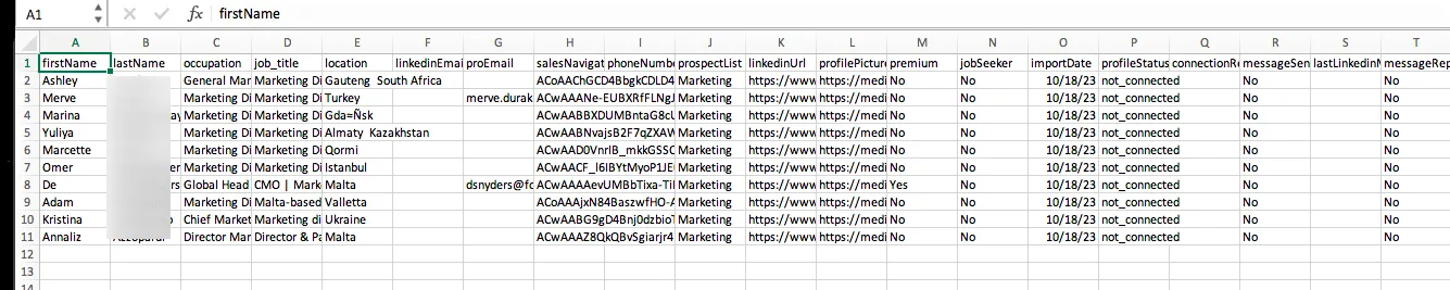 Screenshot einer Waalaxy-CSV-Tabelle nach dem Parsen von Profilen