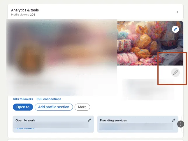 Klicken Sie auf das Symbol „Edit“, das sich normalerweise unter Ihrem Profilbild befindet