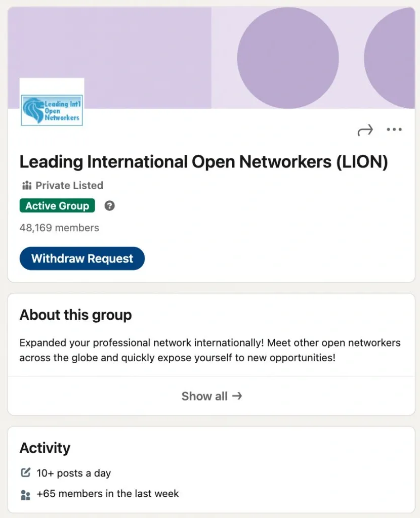 Ejemplo de grupo LION de LinkedIn: Leading International Open Networker