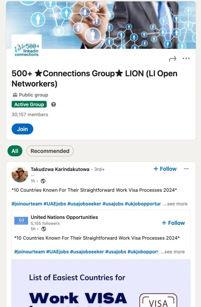 Ejemplo de grupo LION de LinkedIn: 500+ Connections Group