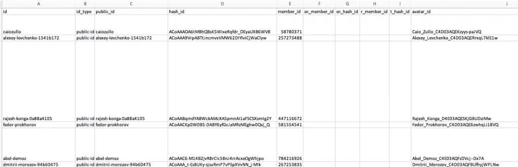 Beispiel für nach Excel exportierte Lead-Daten aus Linked Helper