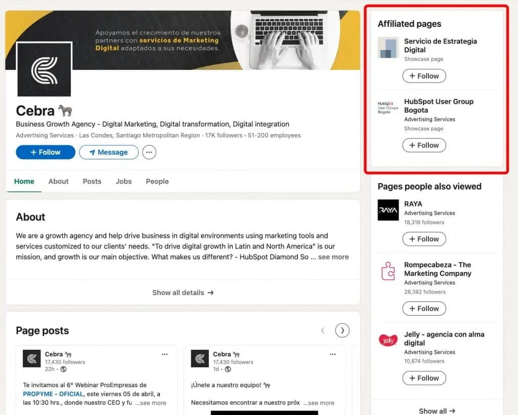 Was ist eine Fokusseite auf LinkedIn – Screenshot des Bereichs „Affiliated pages“.