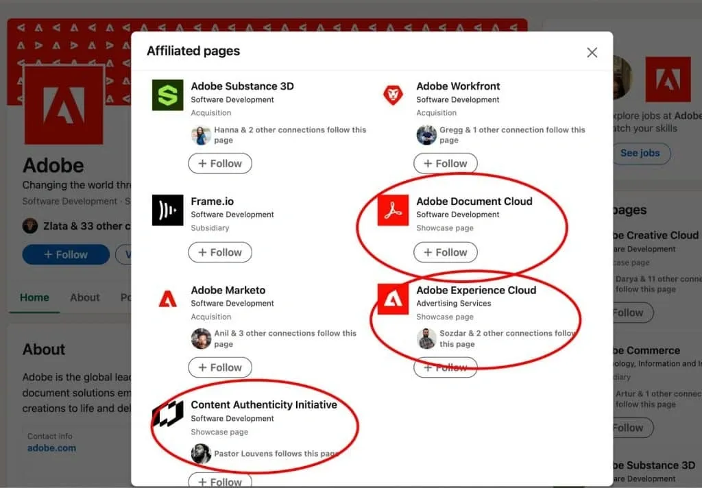Beispiel einer LinkedIn-Fokusseite von Adobe