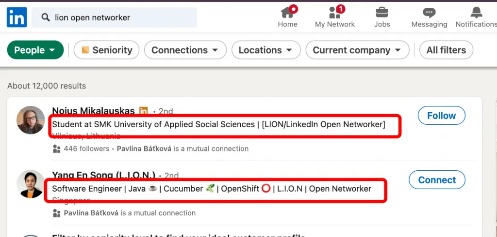 Screenshot der LinkedIn-Suchoberfläche mit Filtern zum Auffinden von LION-Profilen, darunter Berufsbezeichnung und Schlüsselwörter